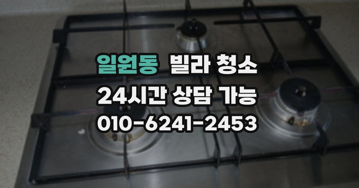 일원동 빌라 청소