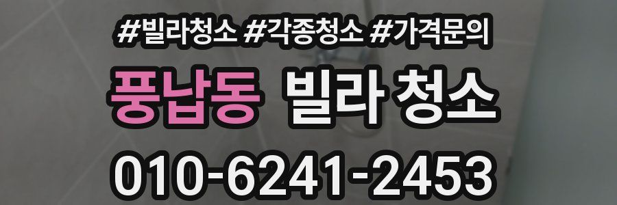 풍납동 빌라 청소