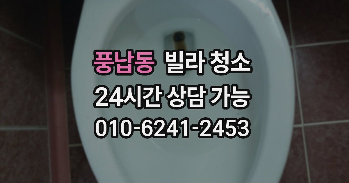 풍납동 빌라 청소