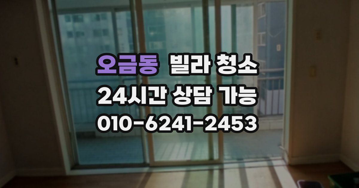 오금동 빌라 청소