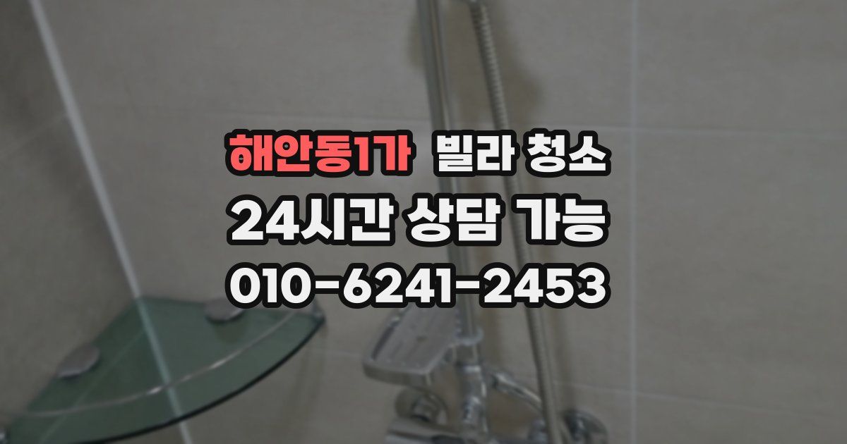 해안동1가 빌라 청소