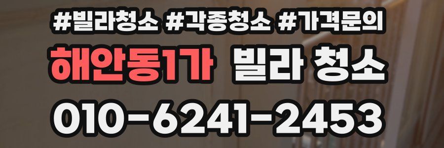 해안동1가 빌라 청소