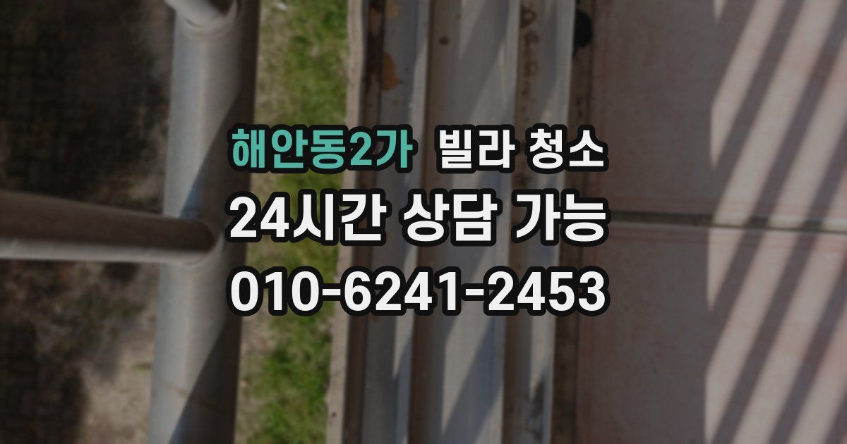 해안동2가 빌라 청소