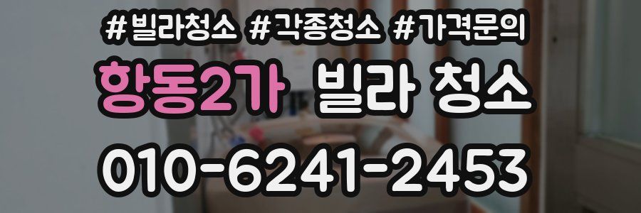 항동2가 빌라 청소