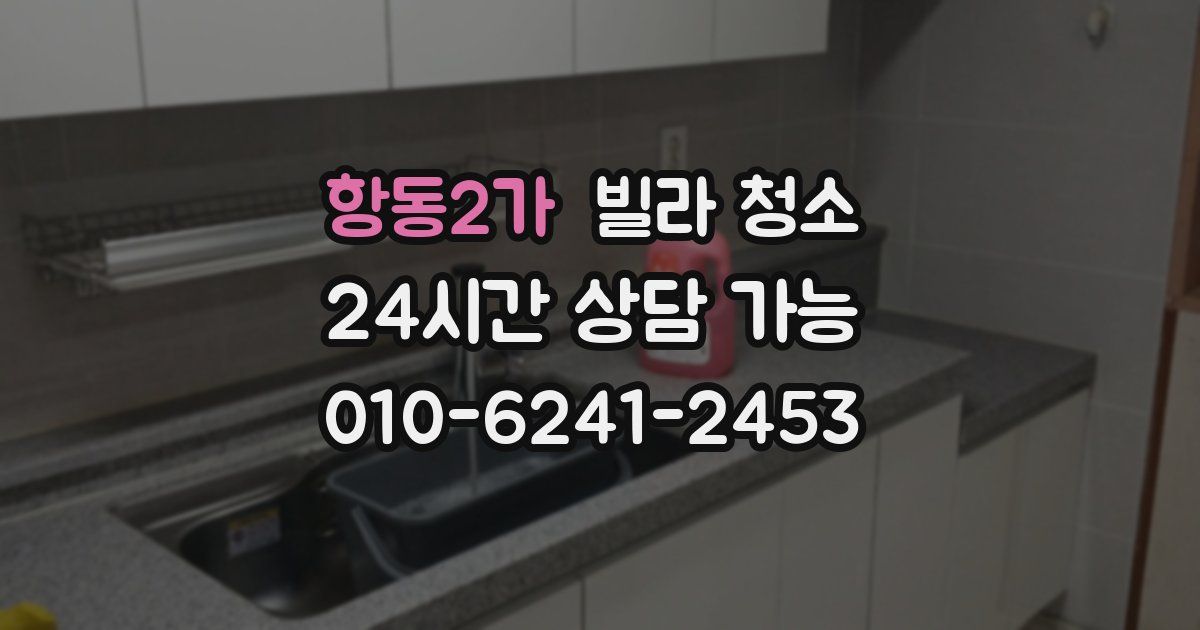 항동2가 빌라 청소