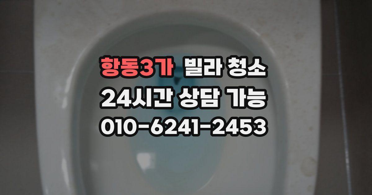 항동3가 빌라 청소