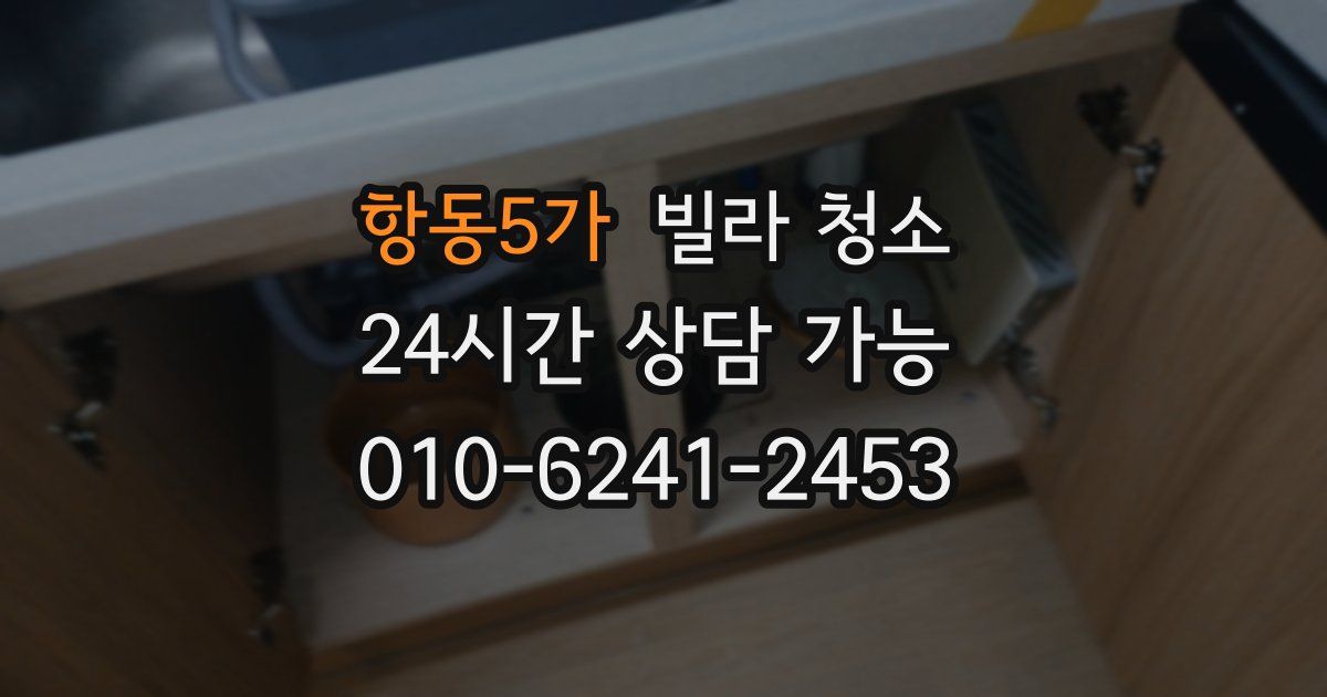 항동5가 빌라 청소