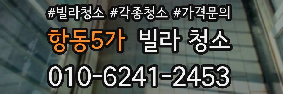 항동5가 빌라 청소