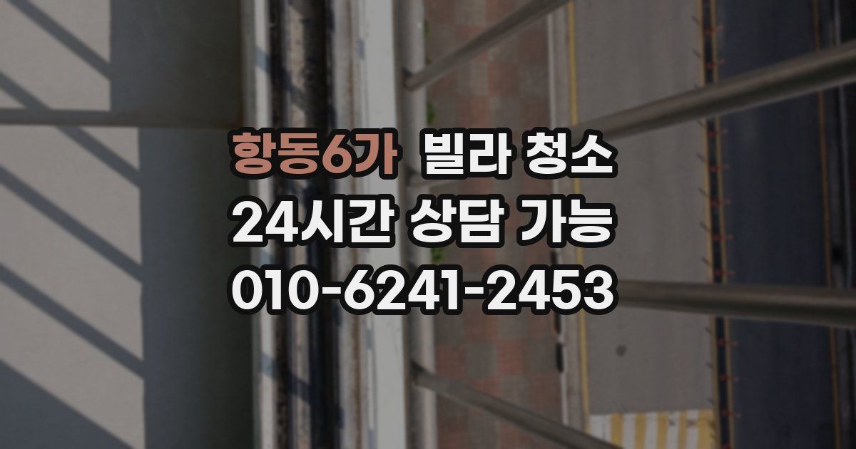 항동6가 빌라 청소