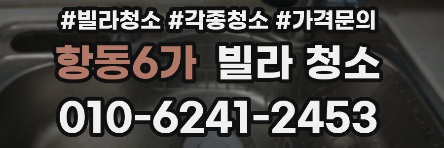 항동6가 빌라 청소