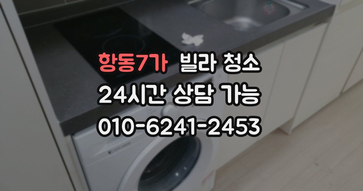 항동7가 빌라 청소