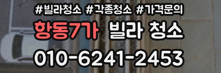 항동7가 빌라 청소