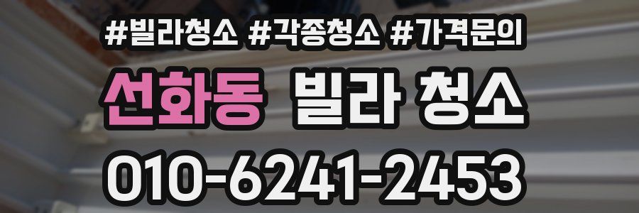 선화동 빌라 청소