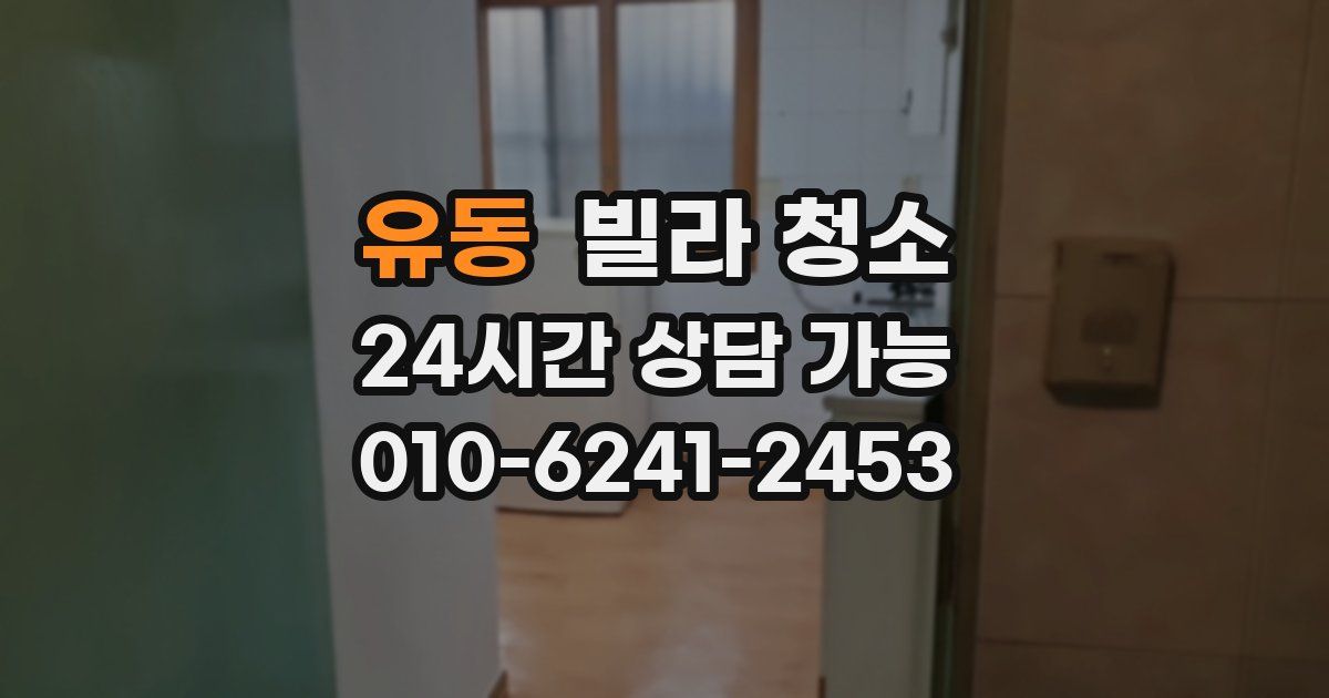 유동 빌라 청소