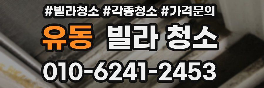 유동 빌라 청소