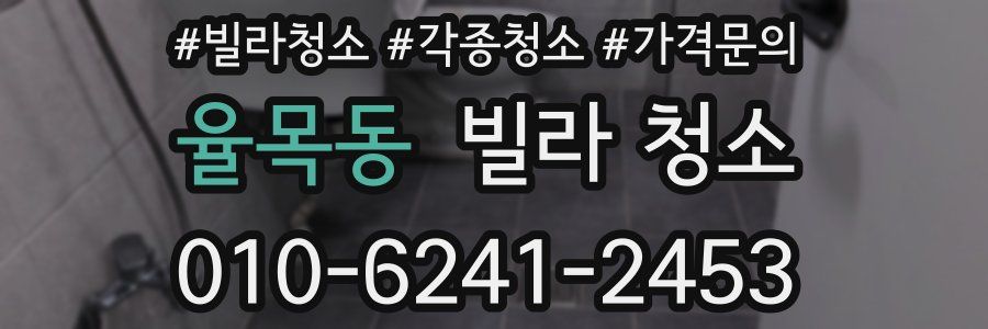 율목동 빌라 청소