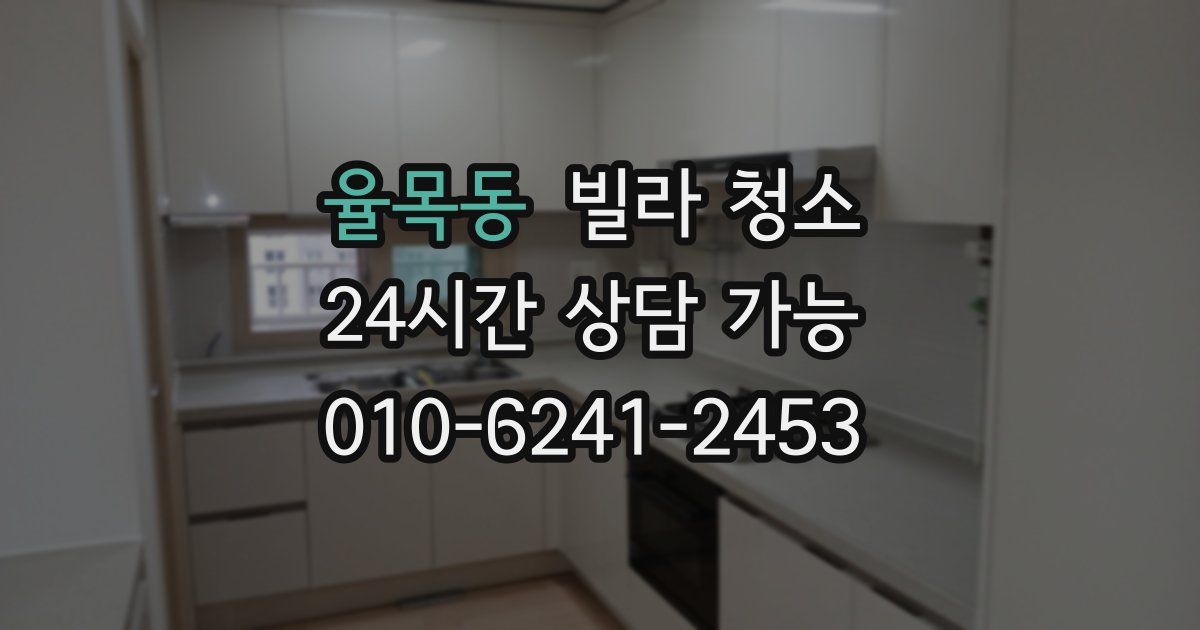 율목동 빌라 청소