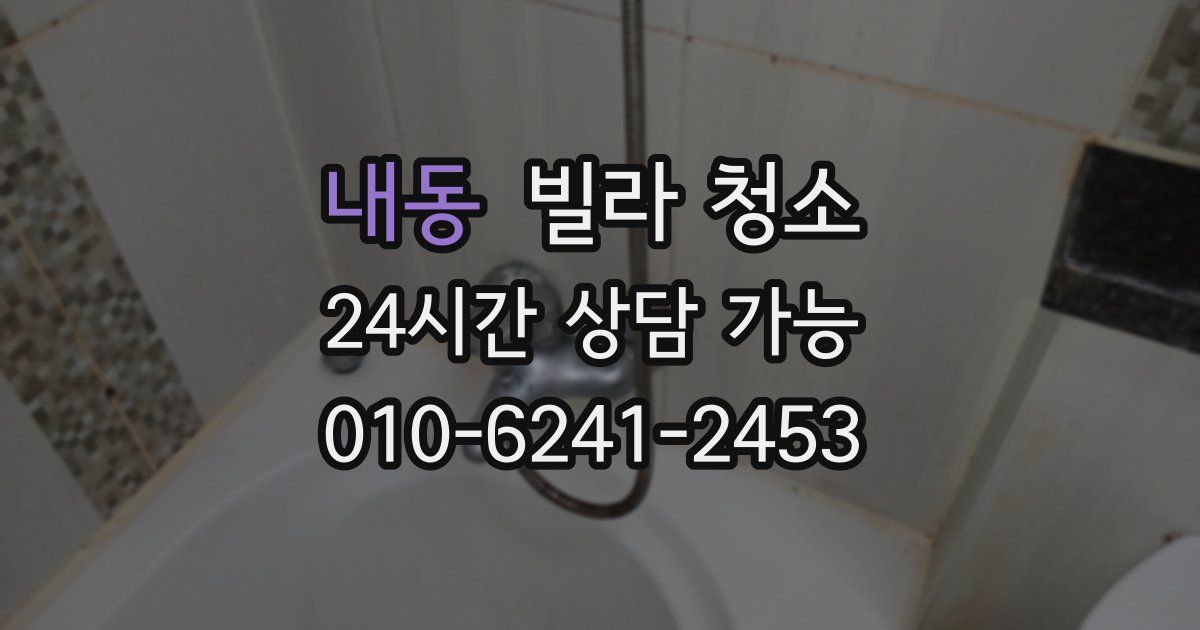 내동 빌라 청소