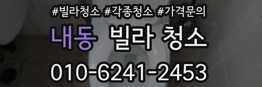 내동 빌라 청소