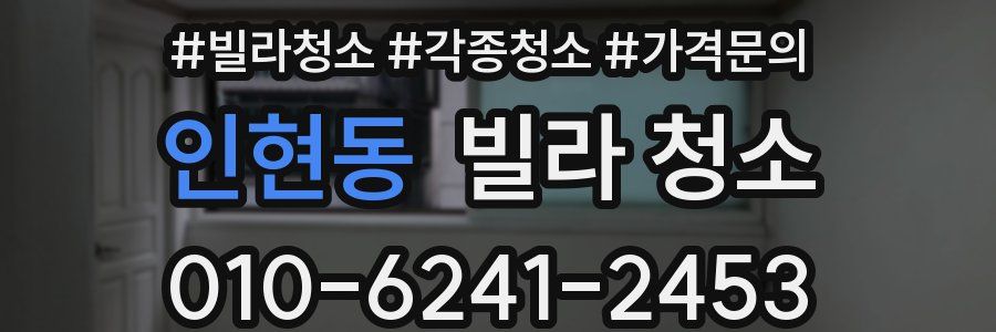 인현동 빌라 청소