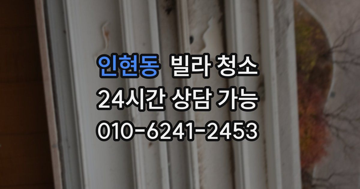 인현동 빌라 청소