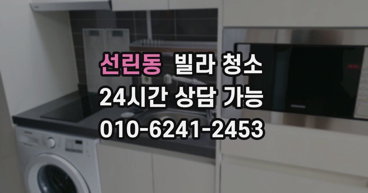 선린동 빌라 청소