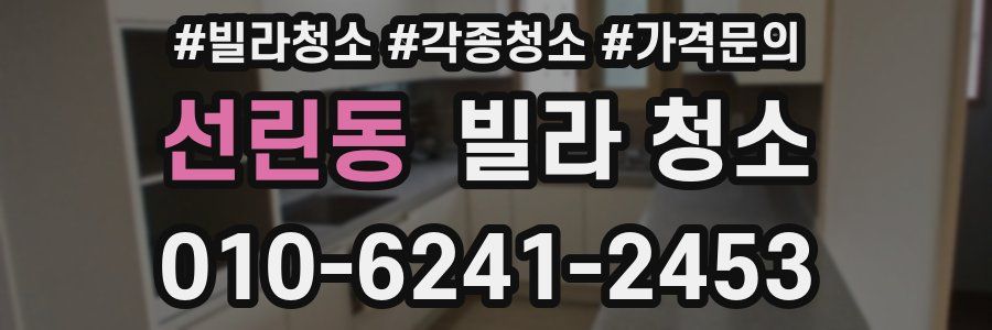 선린동 빌라 청소