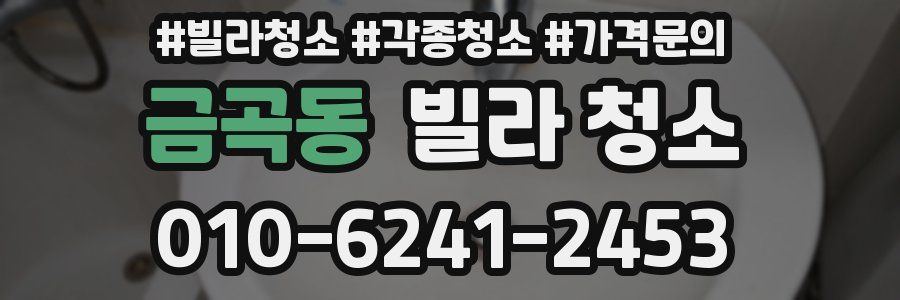 금곡동 빌라 청소