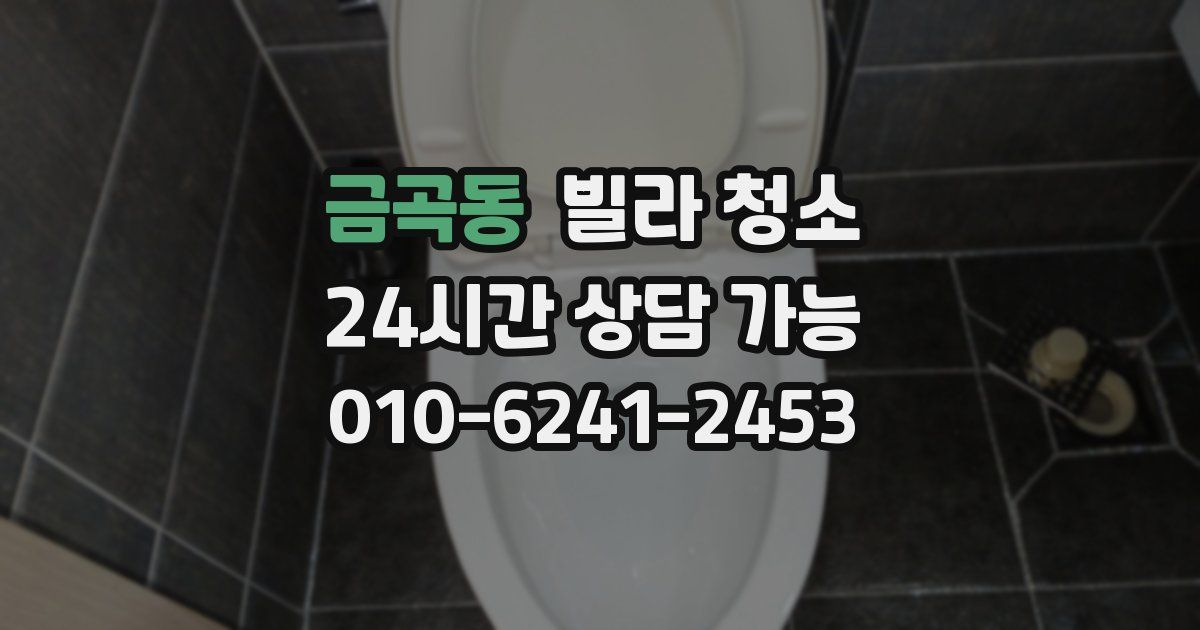 금곡동 빌라 청소