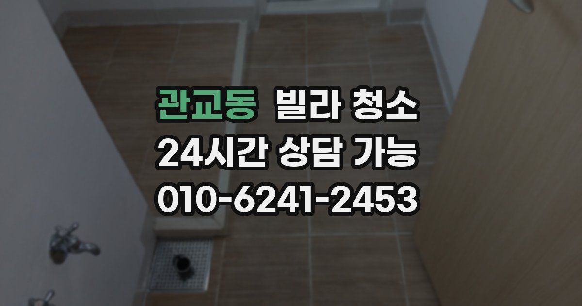 관교동 빌라 청소