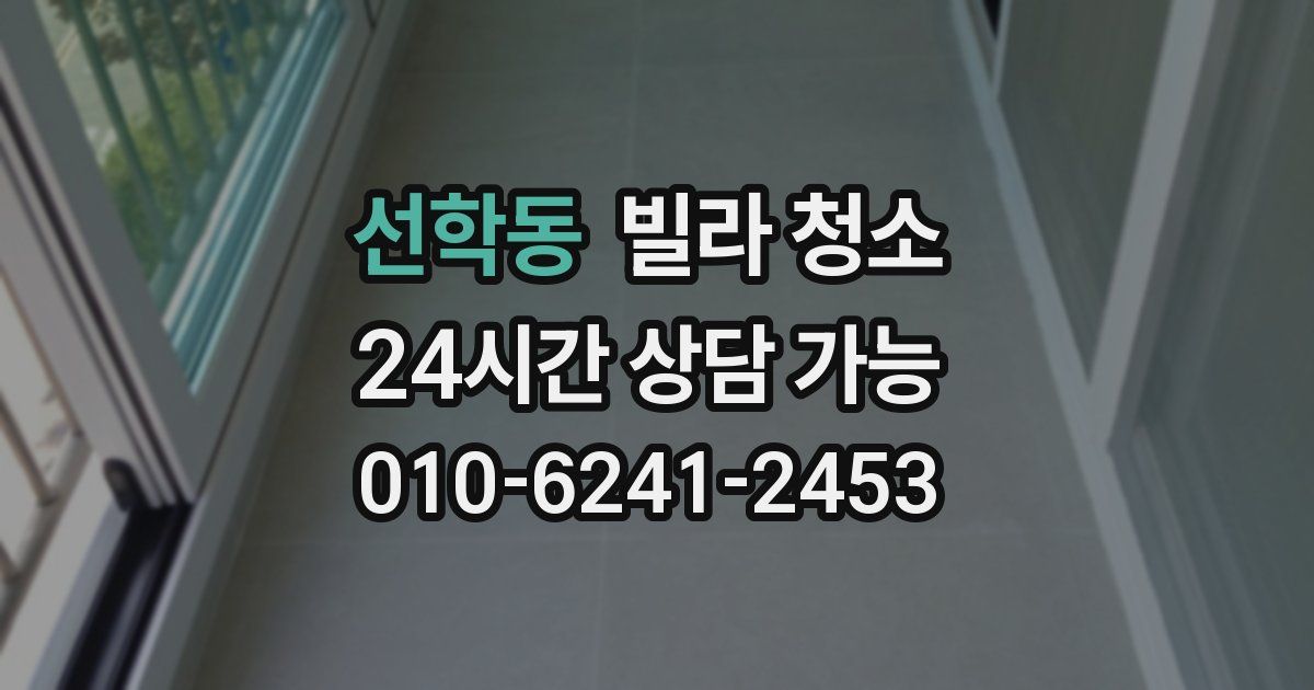 선학동 빌라 청소