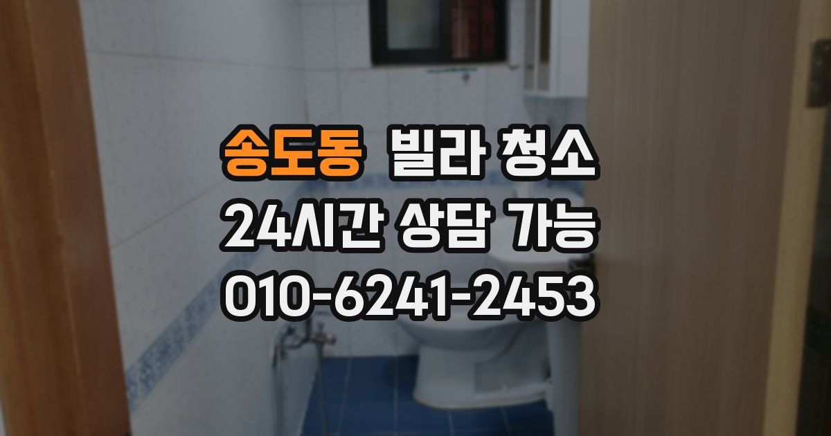 송도동 빌라 청소