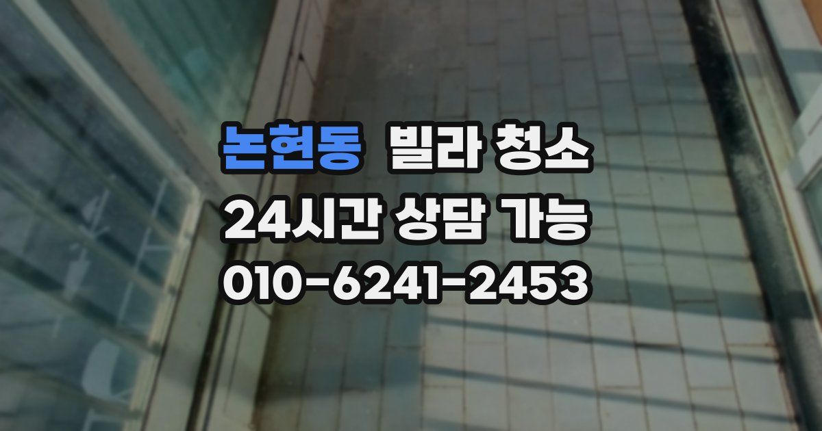 논현동 빌라 청소