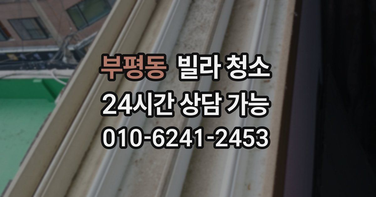 부평동 빌라 청소