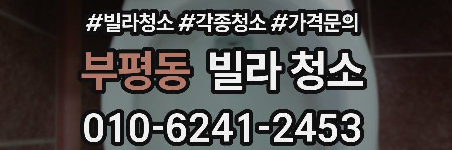 부평동 빌라 청소