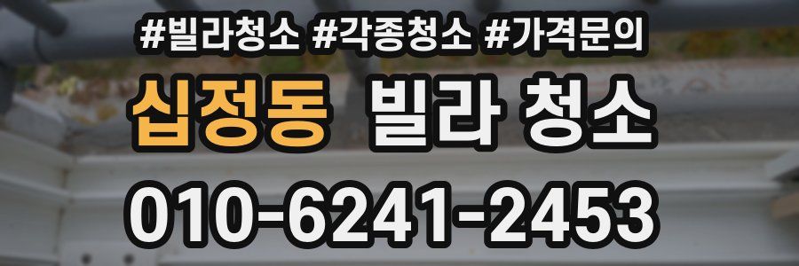 십정동 빌라 청소