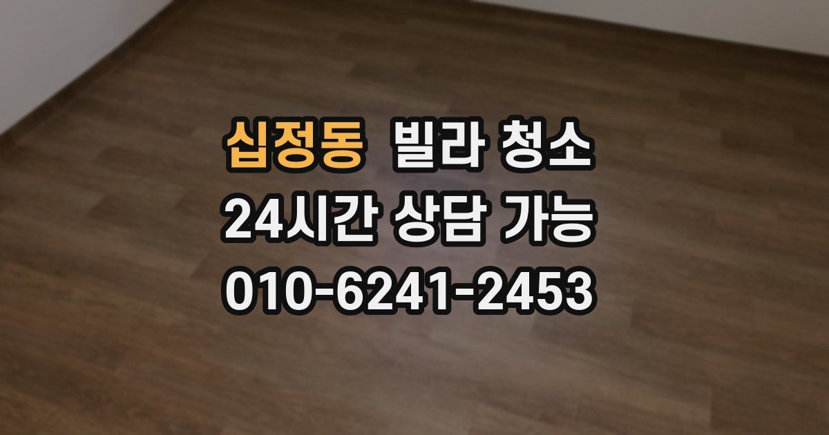 십정동 빌라 청소