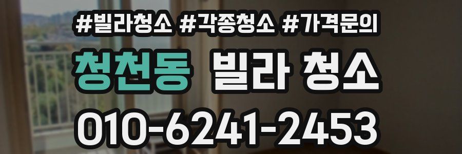 청천동 빌라 청소