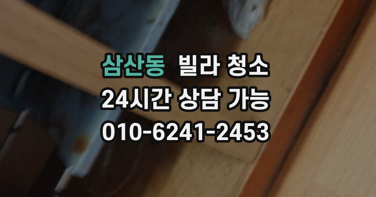 삼산동 빌라 청소