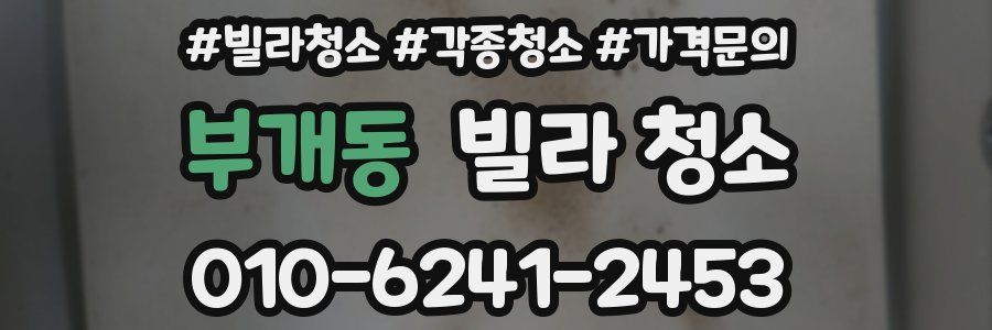 부개동 빌라 청소