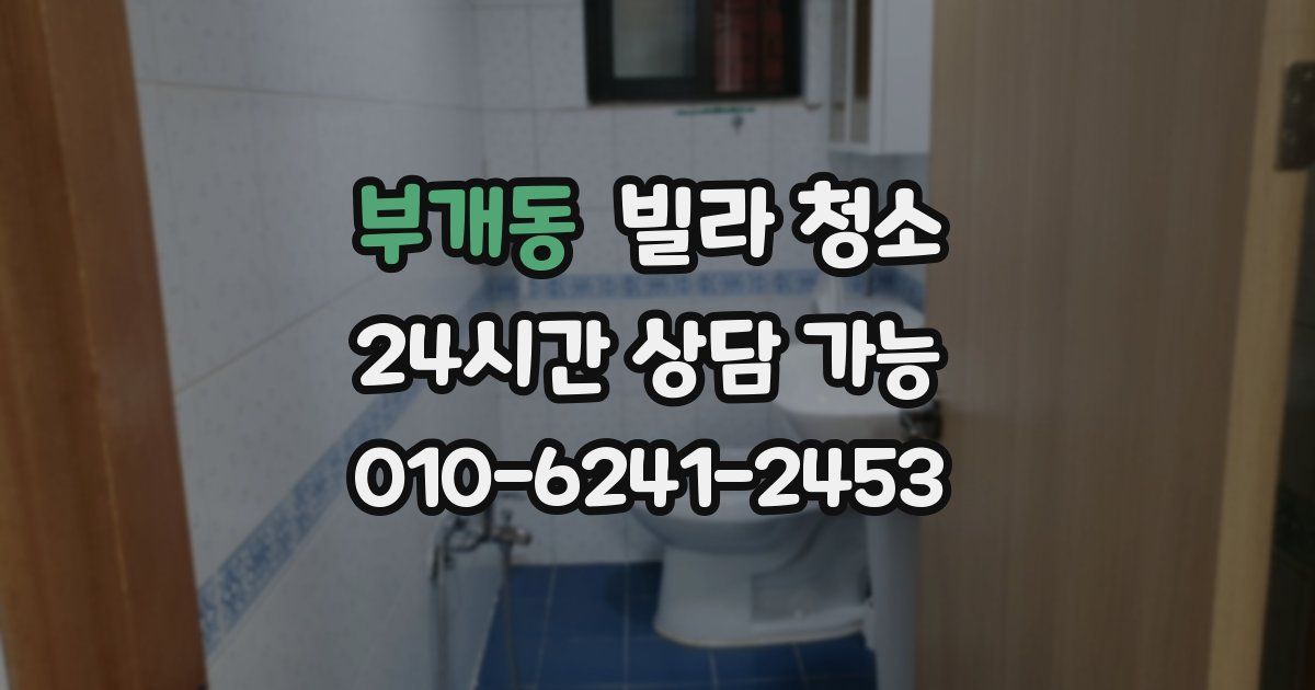 부개동 빌라 청소