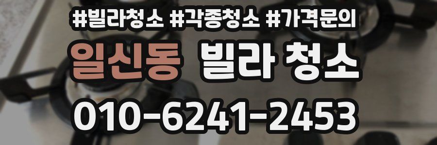 일신동 빌라 청소