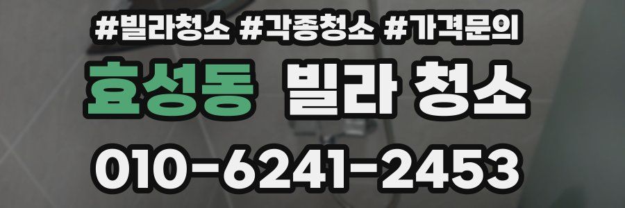 효성동 빌라 청소