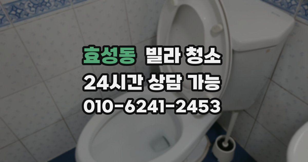 효성동 빌라 청소