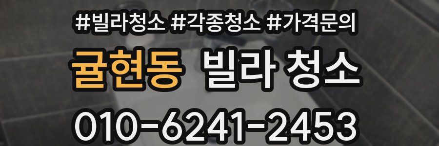 귤현동 빌라 청소