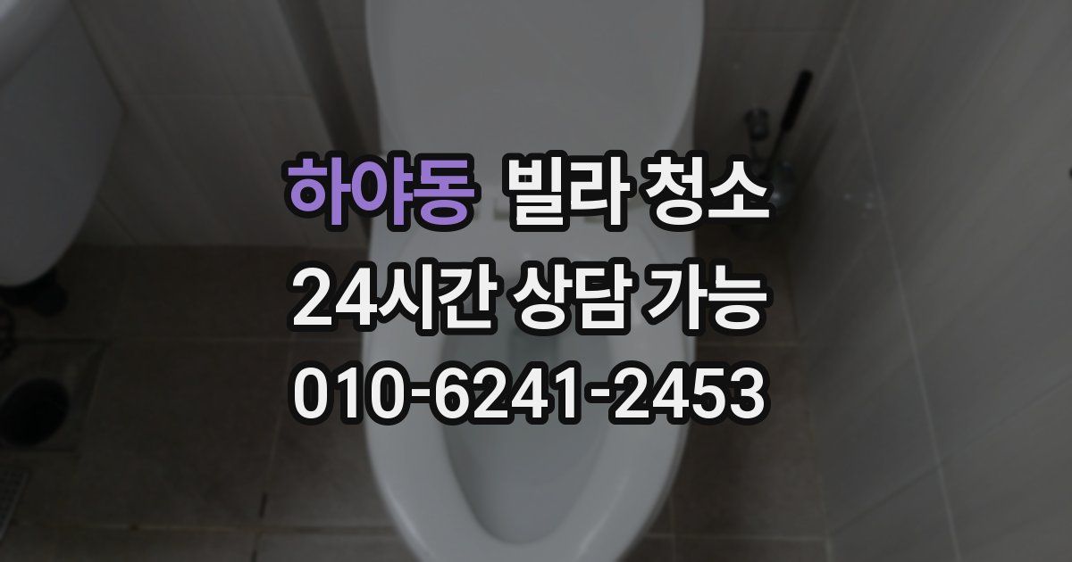 하야동 빌라 청소