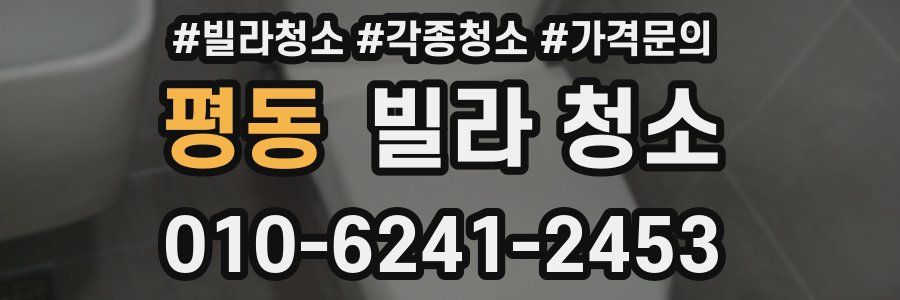 평동 빌라 청소