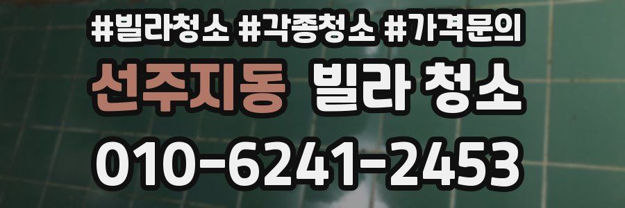 선주지동 빌라 청소