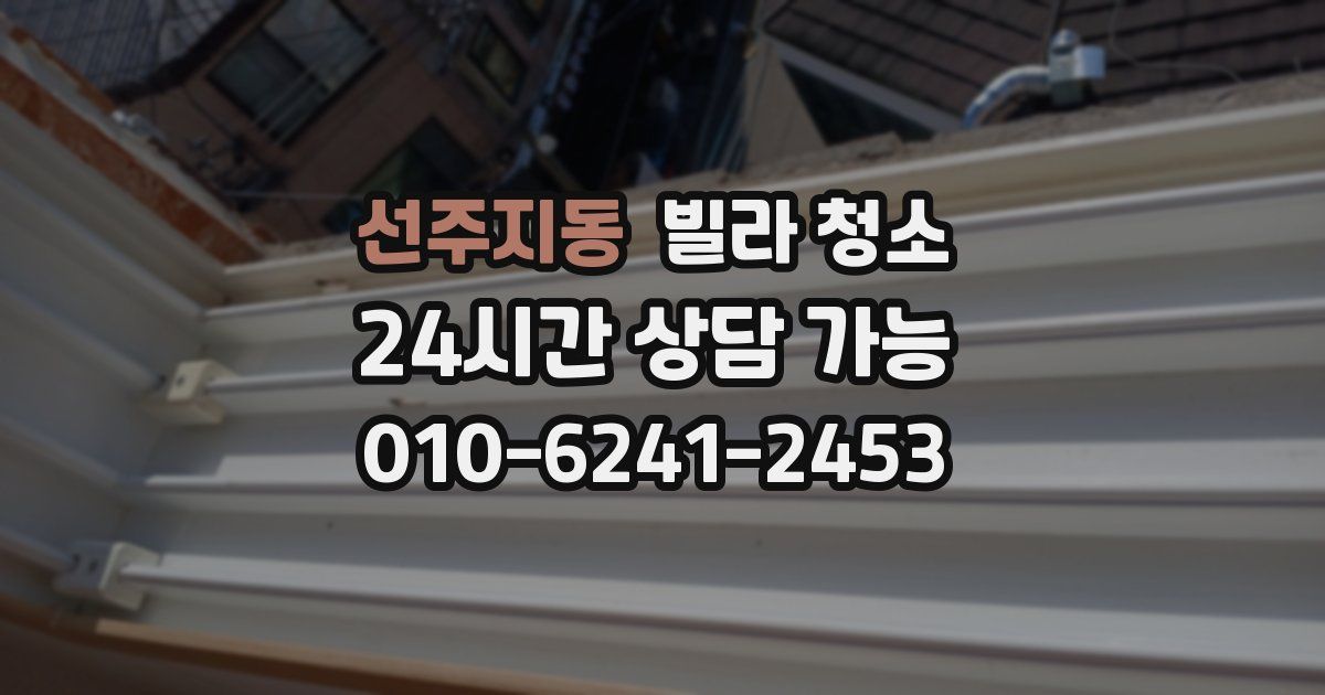 선주지동 빌라 청소