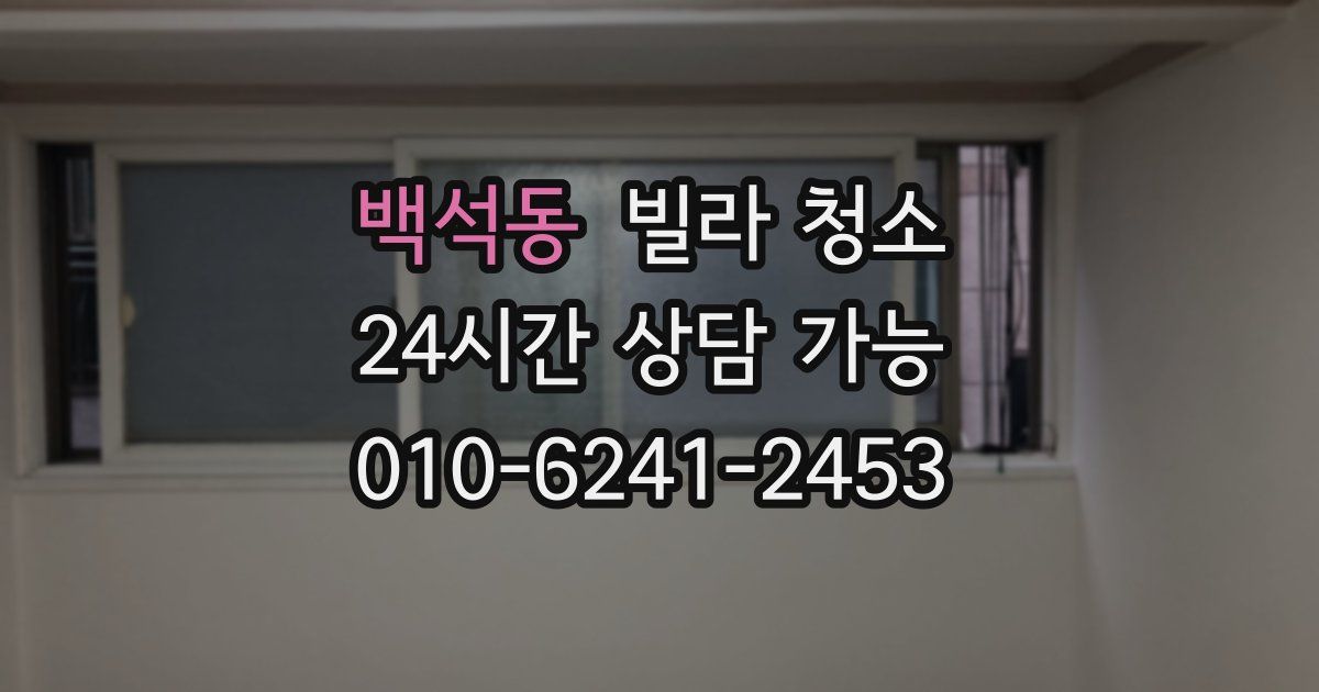 백석동 빌라 청소